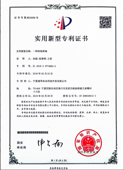 宁夏蕾丝视频在线观看污子