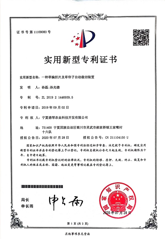 宁夏蕾丝视频APP下载子