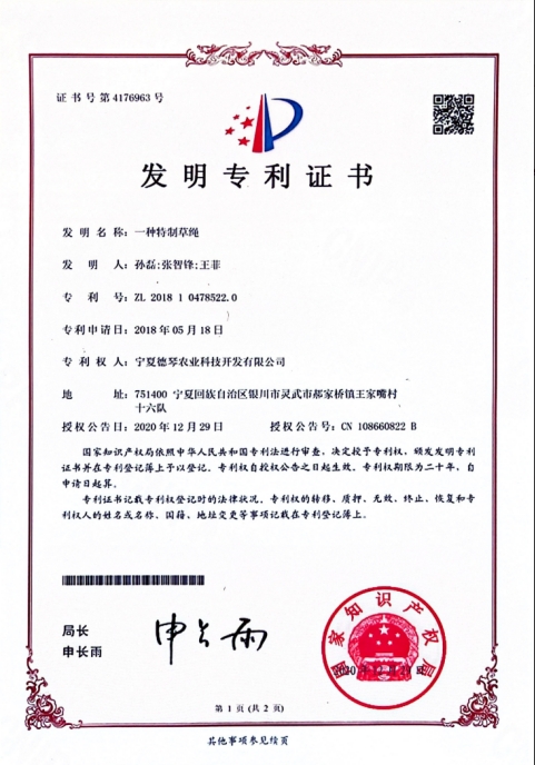 宁夏蕾丝视频在线观看污